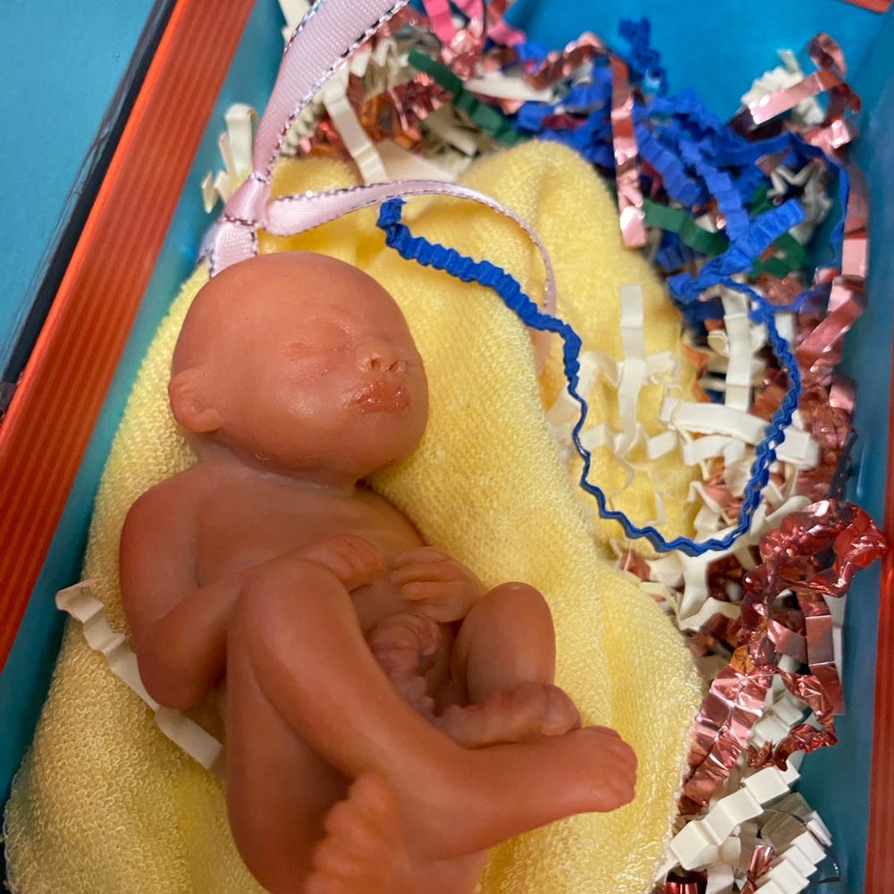 Baby Fetus